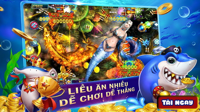 Mẹo chơi bắn cá Bingo cực đỉnh