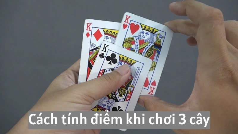 Bài 3 Cây Online 888B